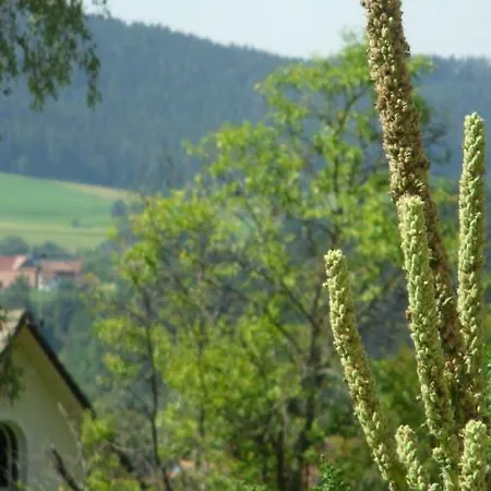 Ferienwohnung Kaufmann Baiersbronn Zewnętrze zdjęcie