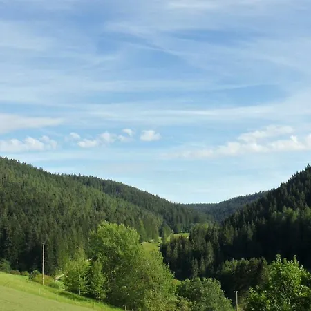 Ferienwohnung Kaufmann Baiersbronn Zewnętrze zdjęcie