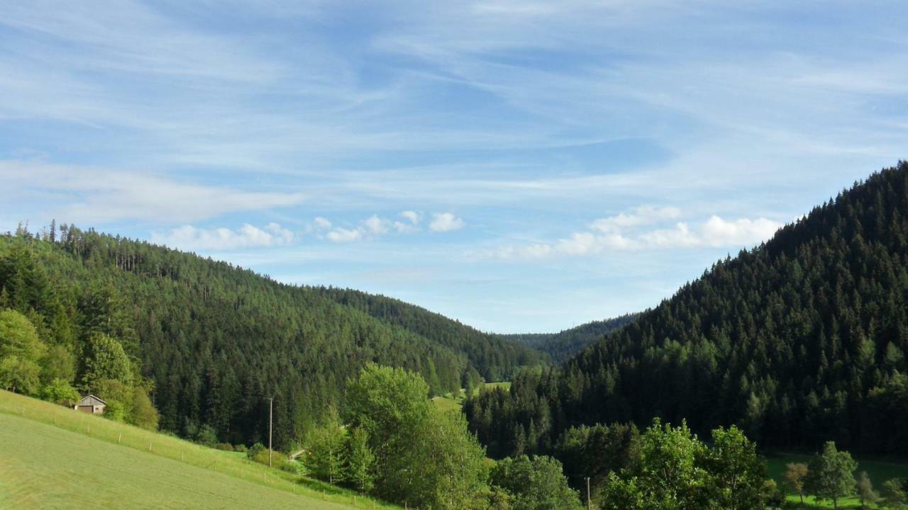 Kaufmann *